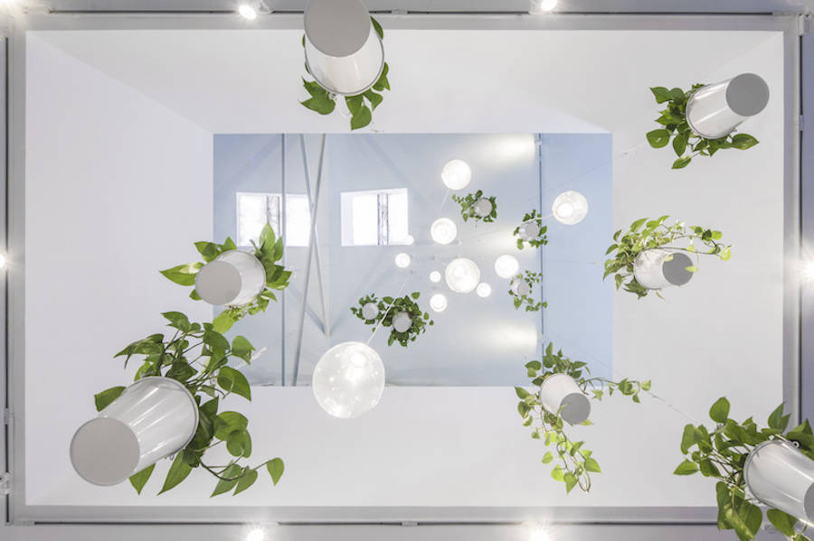 用綠色植物點(diǎn)綴的辦公室設(shè)計