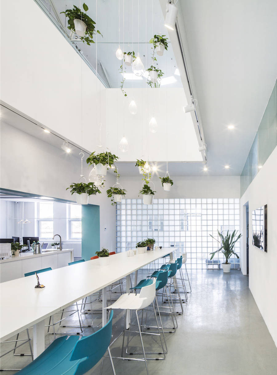 用綠色植物點(diǎn)綴的辦公室設(shè)計