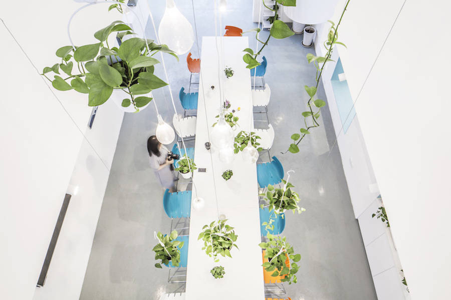 用綠色植物點(diǎn)綴的辦公室設(shè)計