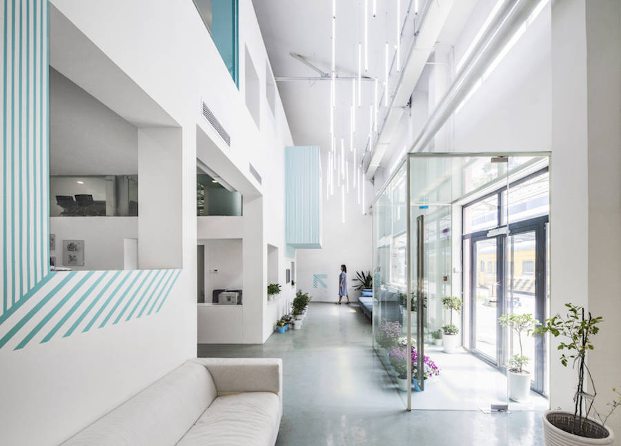 用綠色植物點(diǎn)綴的辦公室設(shè)計